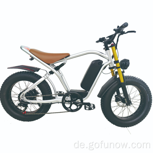 20 -Zoll -Lithium -Batterie -Kraft -Fett -Reifen -Elektrofahrrad